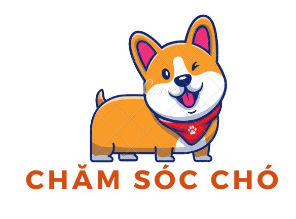 chamsoccho.com